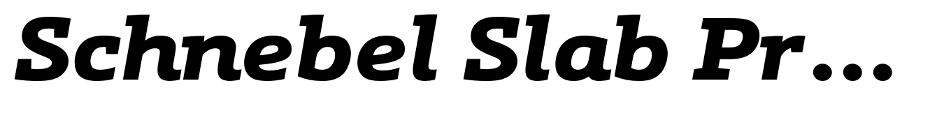 Schnebel Slab Pro Expanded Black Italic